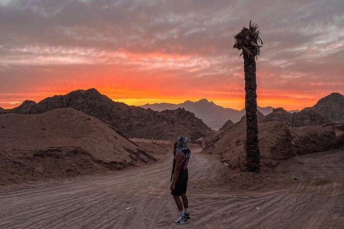 Safari 5 in 1 Quads, Camels, Show, Dinner & Star Gazing in Sharm El Sheikh - Telescope stargazing depends on the night