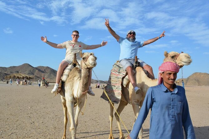 Safari ATV, Buggy, Camel, Bedouin Dinner and Hurghada Show - A 15-minute camel ride and a change of pace