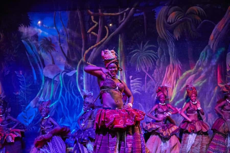 Safari Park Hotel Show & Dinner Experience In Nairobi Tour - What the Safari Cats performance includes