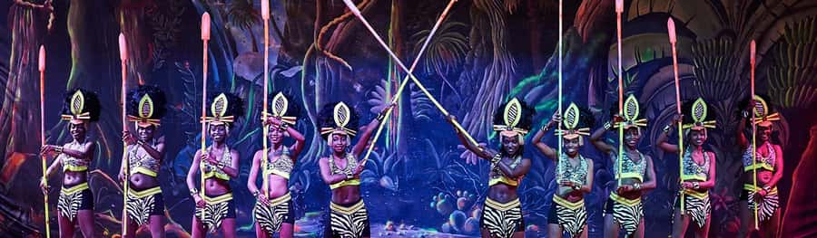 Safari Park Hotel Show & Dinner Experience In Nairobi Tour - How the three-hour schedule works