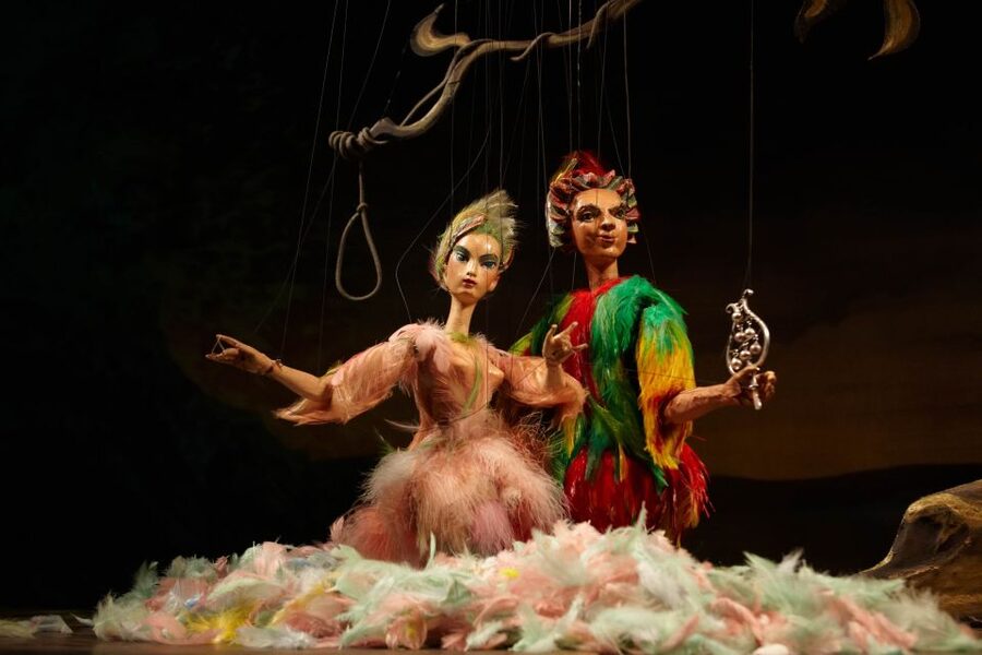 Salzburg: The Magic Flute at Marionette Theater Ticket - Is the Theater Experience Good for Families?