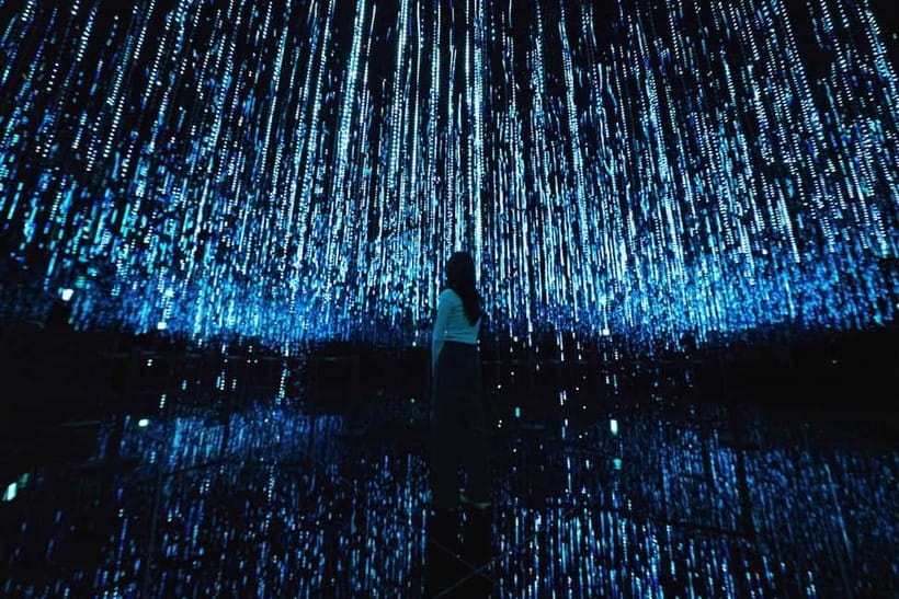 Seoul : Le Space Art Museum, Hanok, Inner Zoo (+Nanta Show) - Zoorarium brings alpacas and capybaras within reach