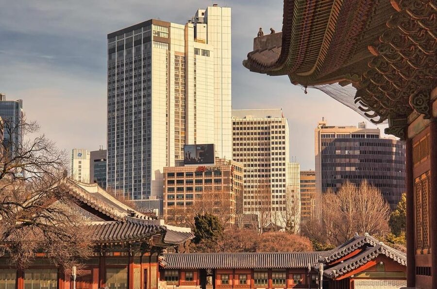 Seoul : Le Space Art Museum, Hanok, Inner Zoo (+Nanta Show) - What the $140 price includes, and what it does not