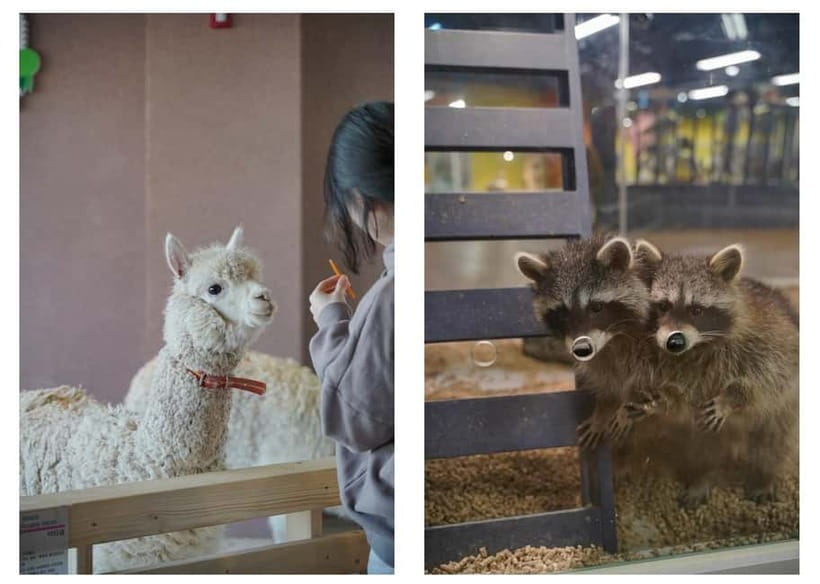 Seoul : Le Space Art Museum, Hanok, Inner Zoo (+Nanta Show) - Le Space Inspire turns art into a room-sized show