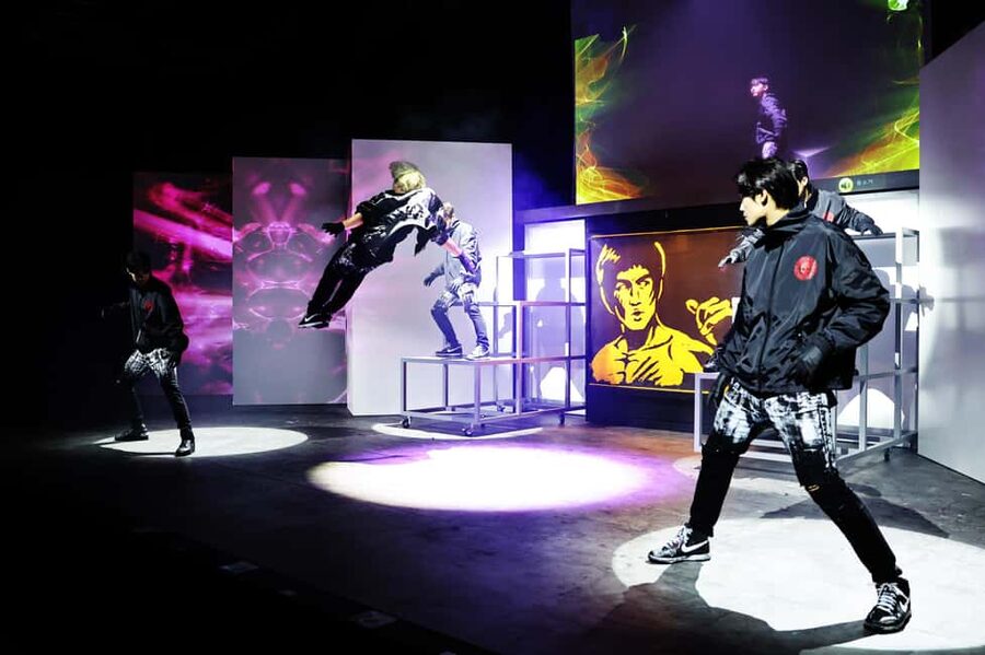 Seoul: The Painter Show with Nami Island or Alpaca World - Petite France and Italian Village