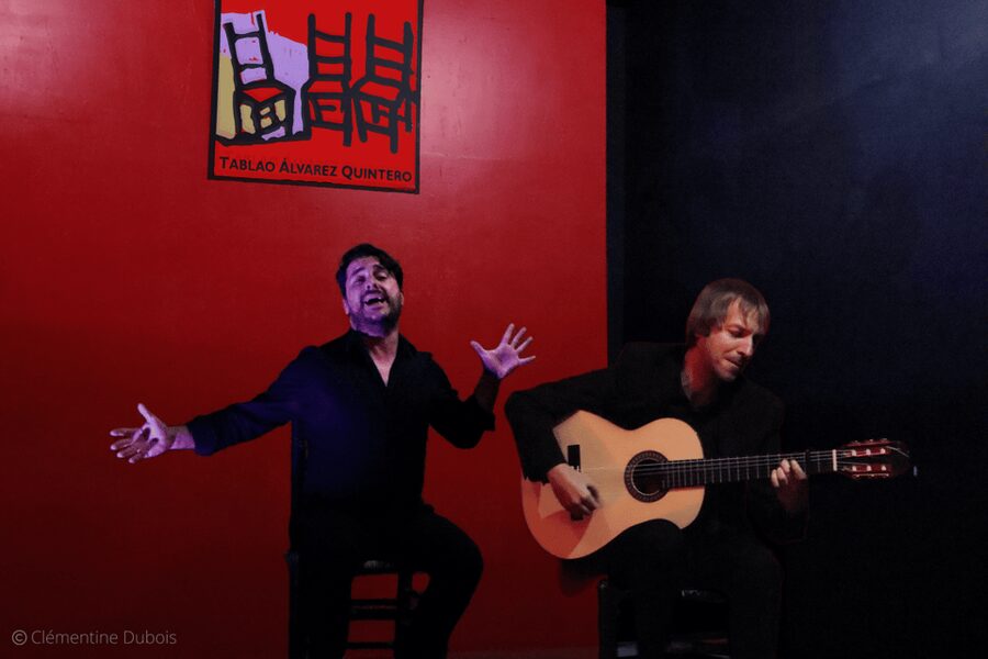 Sevilla: Flamenco Show at Tablao Álvarez Quintero - Who will enjoy this show most?