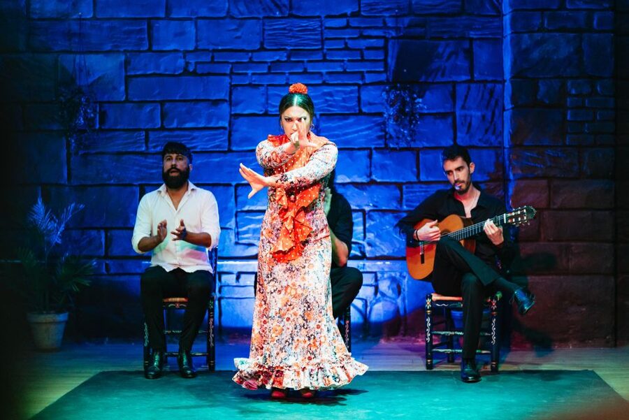 Seville: Baraka Sala Flamenca Show with Drink in Triana - The four artists and the shape of the performance