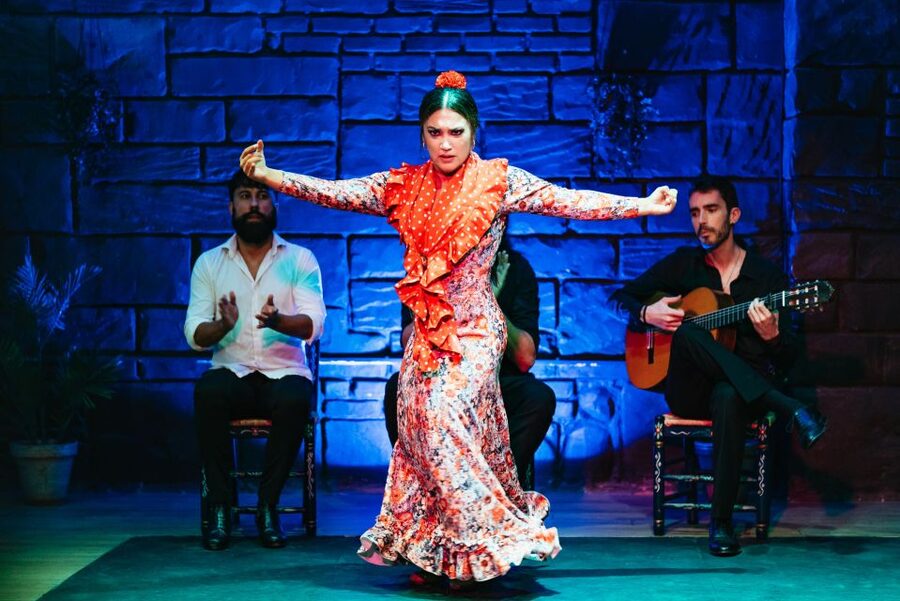 Seville: Baraka Sala Flamenca Show with Drink in Triana - Is $32 good value for one hour?