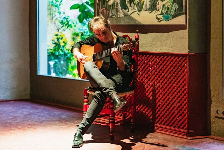 Seville: Casa de la Memoria Flamenco Show - Who should book this show?