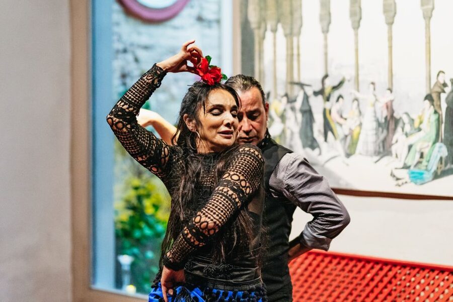 Seville: Casa de la Memoria Flamenco Show - What the 55-minute performance includes