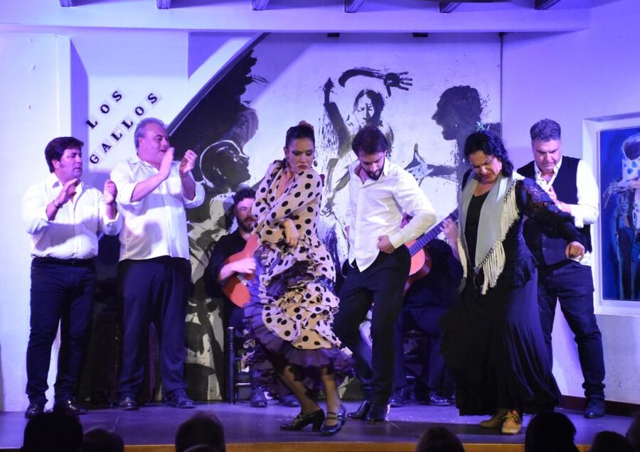 Seville: Flamenco Show at Tablao Los Gallos - How this compares with a larger flamenco production