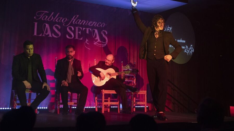 Seville: Flamenco Show & Roof Dinner with Cathedral Views - What to expect at Tablao Flamenco Las Setas