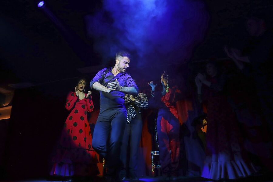 Seville: Flamenco Show Ticket at Tablao Flamenco Las Setas - What the Tablao Flamenco Las Setas experience is really like