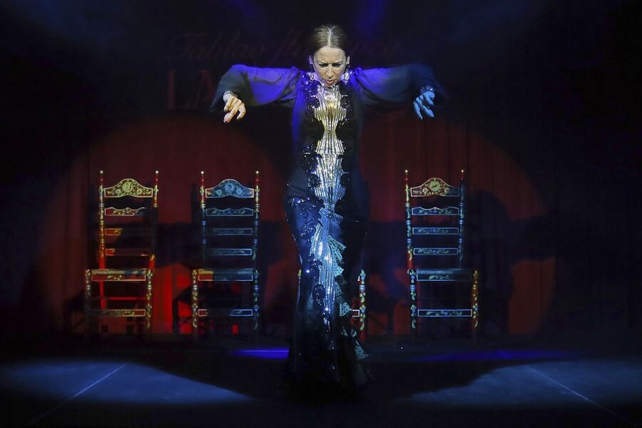 Seville: Flamenco Show Ticket at Tablao Flamenco Las Setas - Who will enjoy this flamenco show most