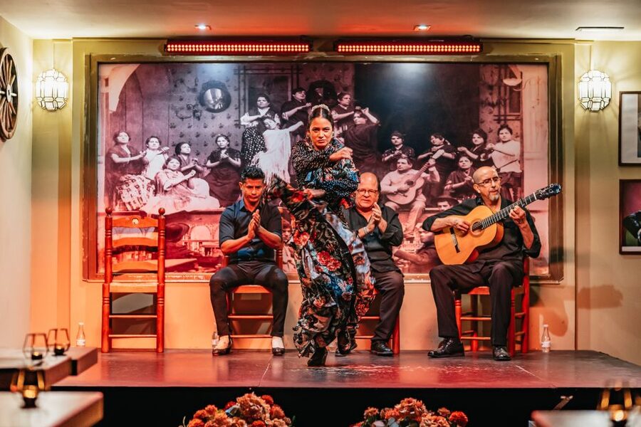 Seville: Flamenco Show with Andalusian Dinner at La Cantaora - What arrives with the Andalusian dinner