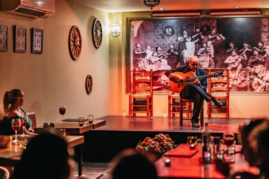 Seville: Flamenco Show with Andalusian Dinner at La Cantaora - Who will enjoy this Seville Flamenco night