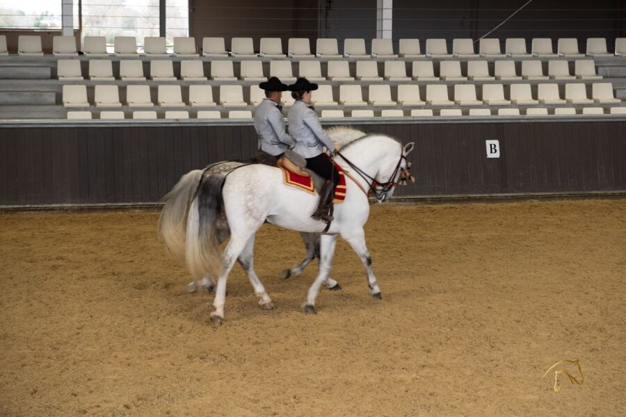 Seville: Horse's Show Entry Ticket. Optional Stud Farm Visit - The idea behind Yeguada Torreluna