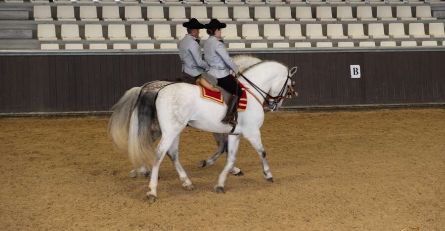 Seville: Horse's Show Entry Ticket. Optional Stud Farm Visit - The optional Story of a Champion visit