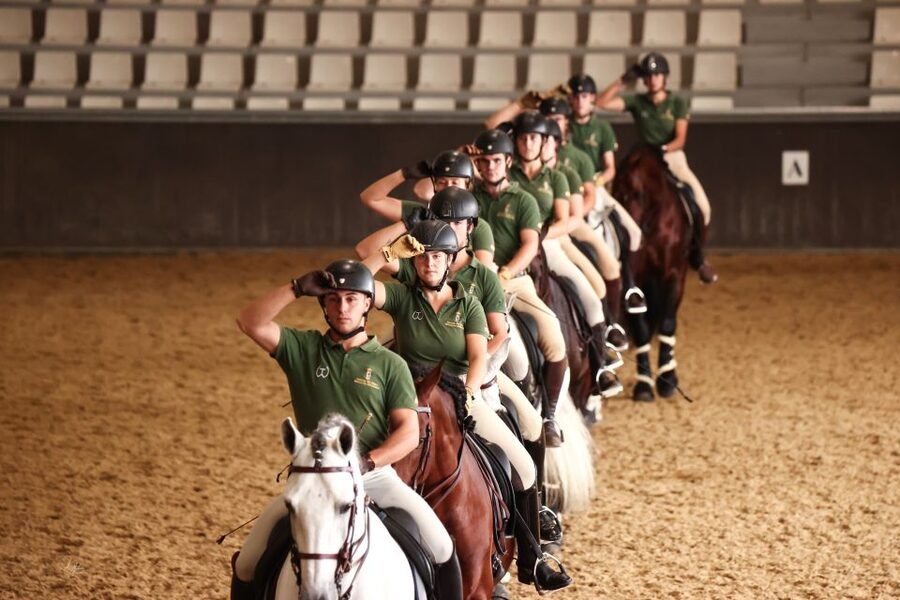 Seville: Horse's Show Entry Ticket. Optional Stud Farm Visit - Timing, languages, and the day’s rhythm