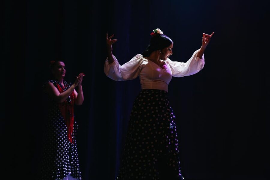 Seville: Live Flamenco Dancing Show Ticket at the Theater - Accessibility and language details