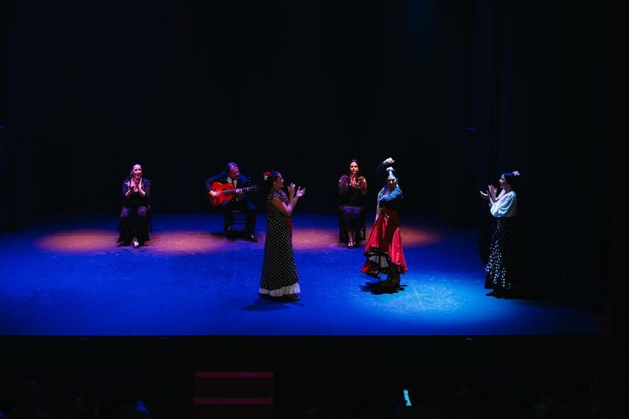Seville: Live Flamenco Dancing Show Ticket at the Theater - Booking, cancellation, and timing flexibility
