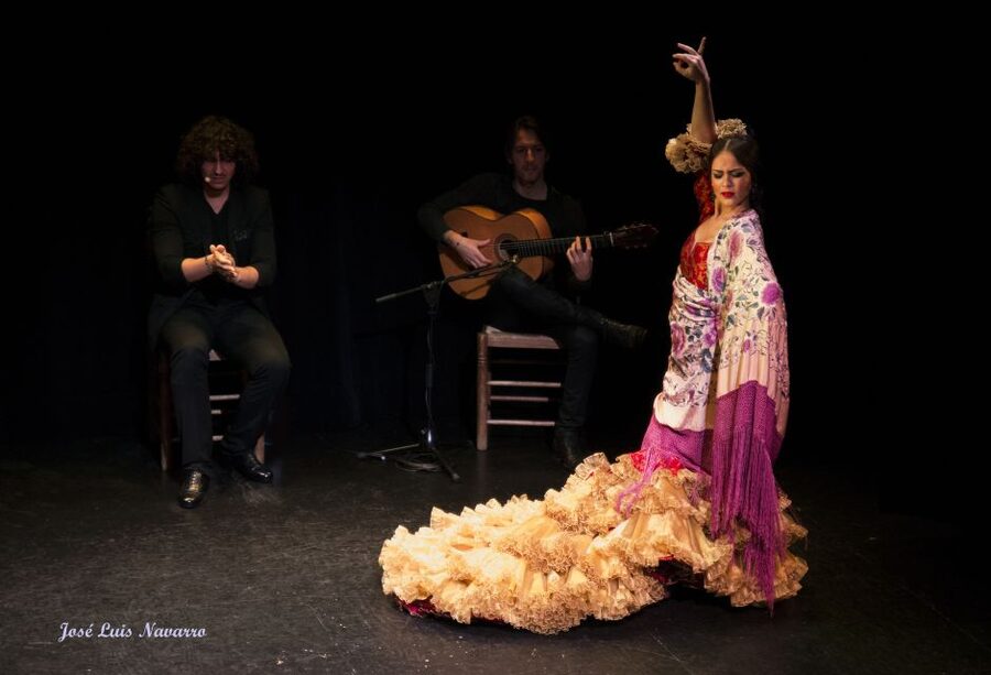 Seville: Live Flamenco Show at "Teatro Flamenco Triana" - What makes the artists worth seeing