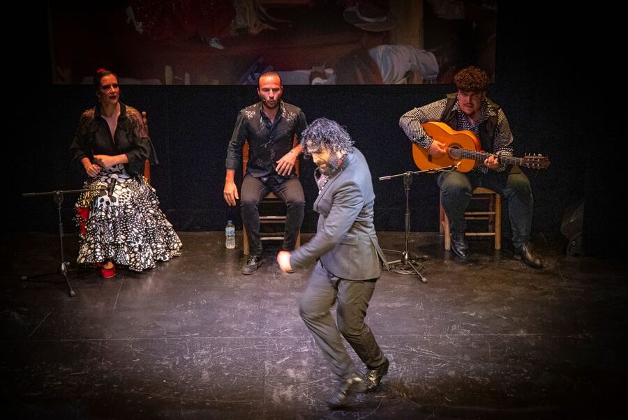 Seville: Live Flamenco Show at "Teatro Flamenco Triana" - Who should book this experience