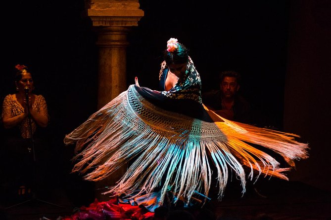 Seville: Puro Flamenco Show - Museo del Baile Flamenco - What happens during the one-hour show