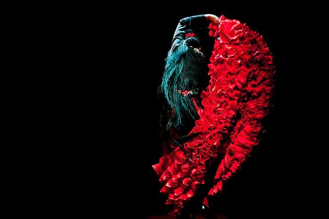 Seville: Puro Flamenco Show - Museo del Baile Flamenco - Who should choose this flamenco show