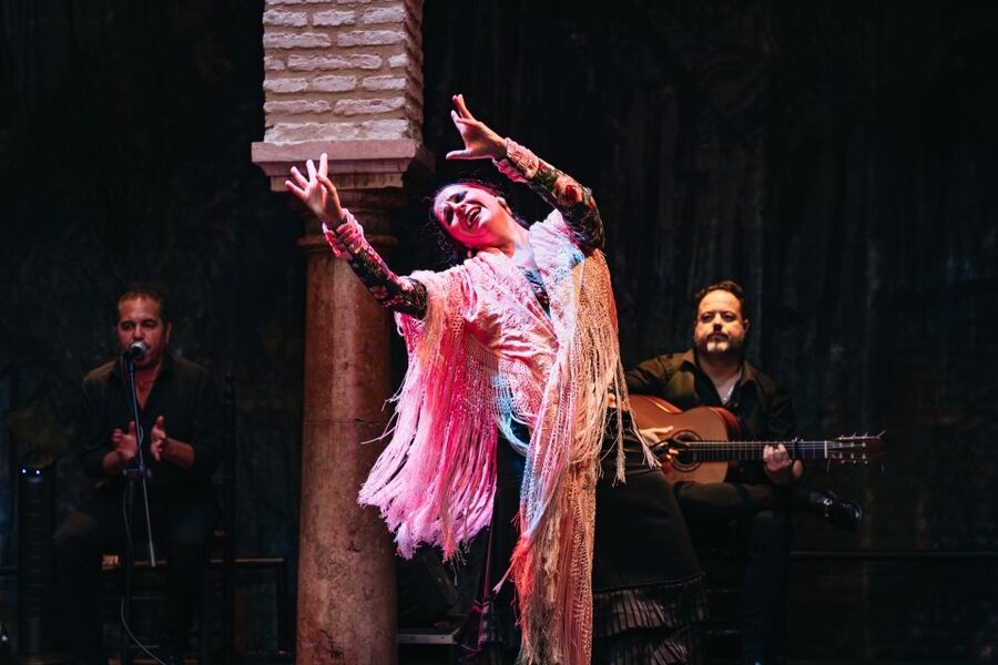 Seville: Puro Flamenco Show with Optional Museum Ticket - The practical setting in Santa Cruz