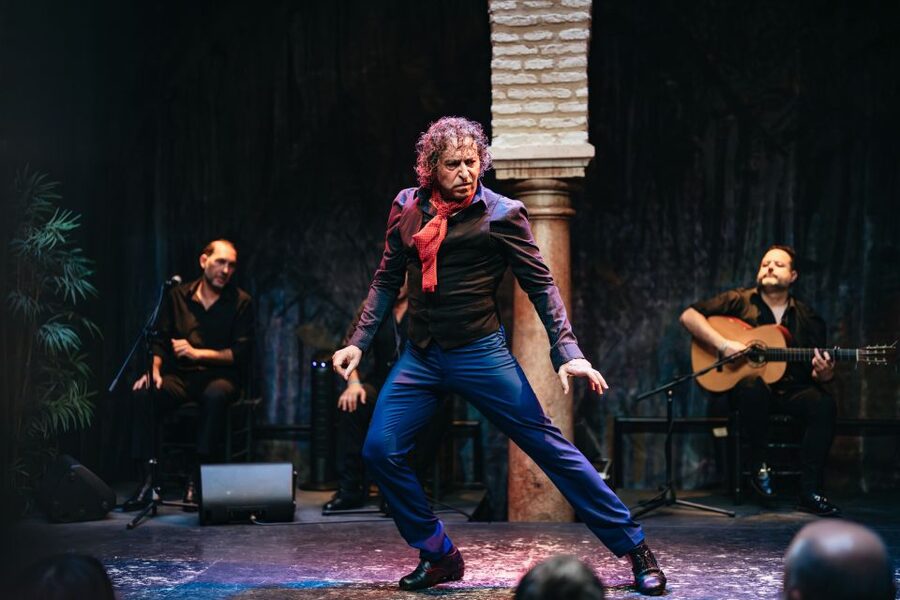 Seville: Puro Flamenco Show with Optional Museum Ticket - Who will enjoy this most?