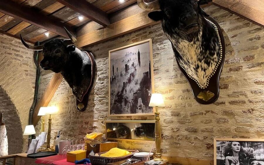 Seville: Tapas Dinner and Flamenco Show - Dinner begins at Petit Comite