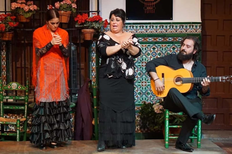 Seville: Tapas Walking Tour with Traditional Flamenco Show - Second stop: modern tapas and wine at VINERIA SAN TELMO