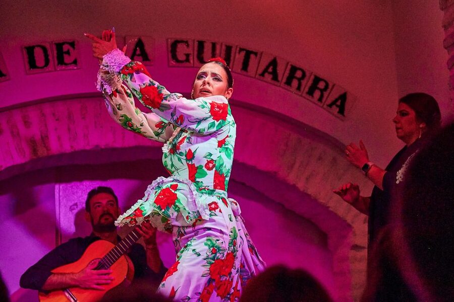 Seville: Ticket to Flamenco Show at La Casa de la Guitarra - What the guitar, singing, and dance feel like up close