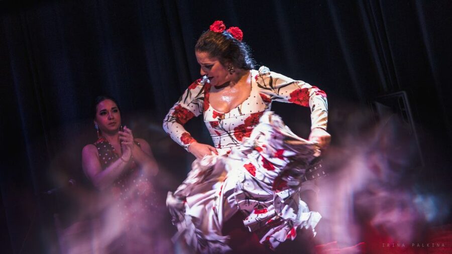 Seville: Traditional Flamenco Show in Triana - Who will enjoy this show most