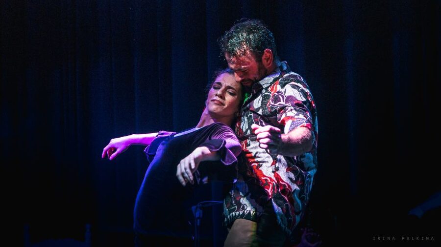 Seville: Traditional Flamenco Show in Triana - What happens during the one-hour performance