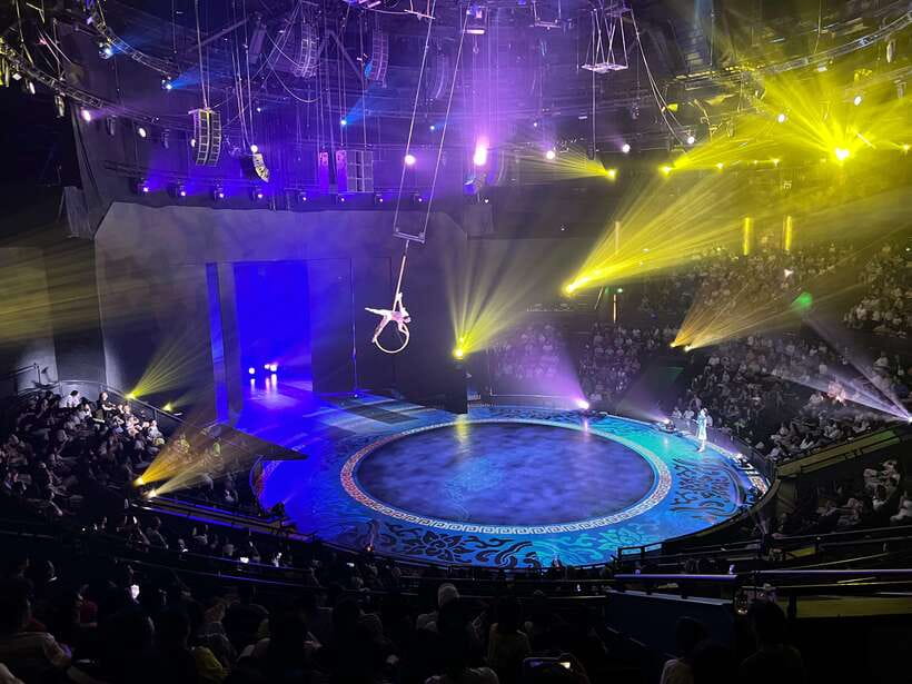 Shanghai: Circus World ERA Theatre Acrobatics Ticket - How the digital ticket process works