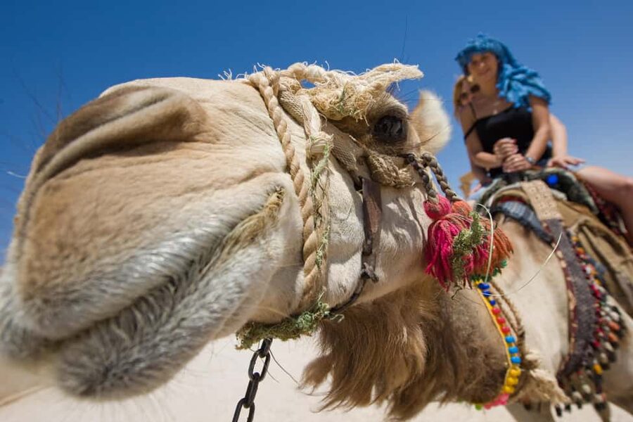 Sharm El-Sheikh: Camel Riding, Stargazing, BBQ Dinner & Show - From Sharm El-Sheikh to Wadi Khroume Valley