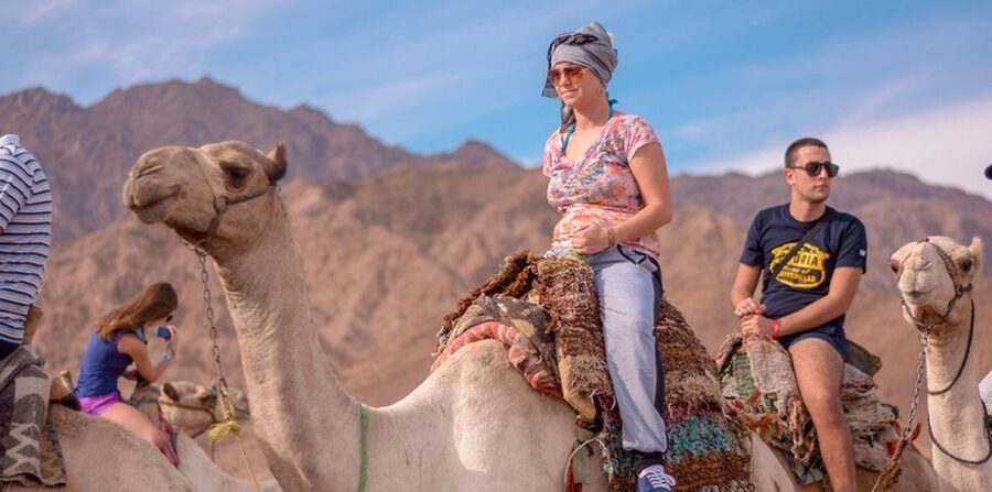 Sharm El Sheikh: Quad bike, Safari, Camel With Dinner & Show - Pickup, timing, and what to bring