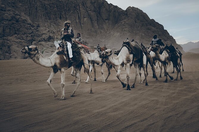Sharm: Quad Bike or Car Buggy, Camel ride & optional VIP Bedouin Dinner & Show - What this Sharm desert safari is really like