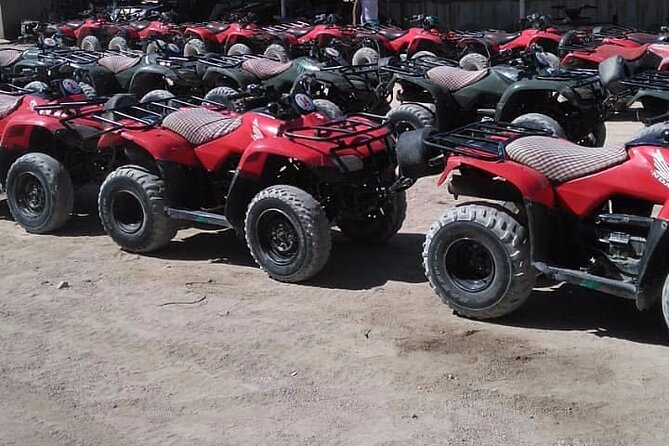 Sharm: Quad Bike or Car Buggy, Camel ride & optional VIP Bedouin Dinner & Show - The Bedouin tent and short camel ride