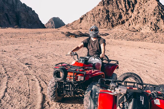 Sharm: Quad Bike or Car Buggy, Camel ride & optional VIP Bedouin Dinner & Show - Pickup from Sharm el Sheikh hotels