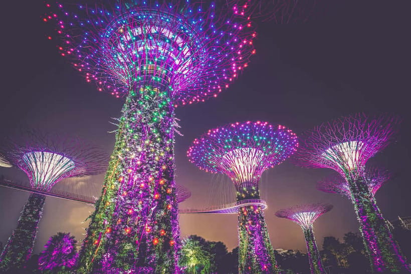 Singapore River Cruise, Garden Rhapsody & Spectra by CYT - Transport, timing, and comfort