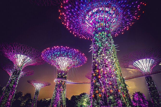 Singapore Starry Night Cruise, Garden Rhapsody & Spectra Show - Merlion Park and the city’s familiar symbol