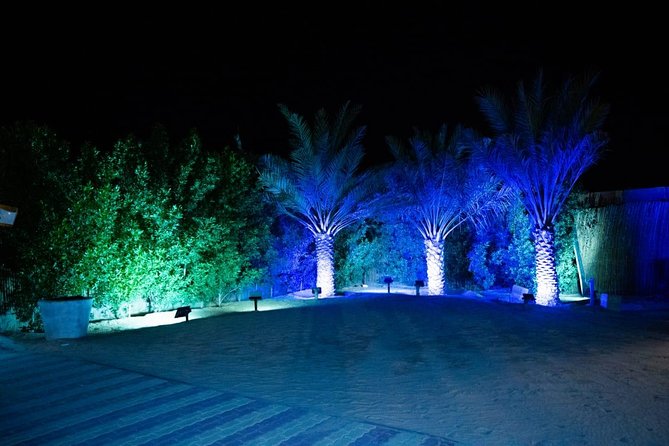 Standard Desert Safari, camel ride, BBQ Dinner, Belly Dance Show, Pick & Drop - Leaving Dubai behind at 3 pm
