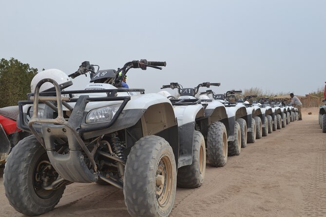 Super Safari ATV, Drive Buggy Car, Camel Ride, Bedouin Dinner, Show-Hurghada - Guides, drivers, and the group experience