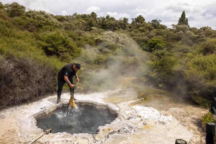 Te Puia: Tuku Iho Trail with Cultural Show - Key points to know before booking