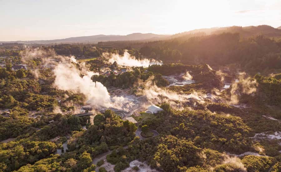 Te Puia: Tuku Iho Trail with Cultural Show - Who should book this experience?