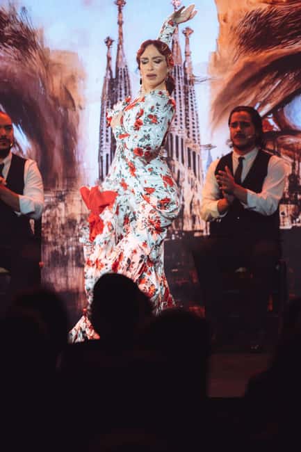 Teatro Flamenco Barcelona: Authentic Live Flamenco Show - Choosing General, Premium, or VIP
