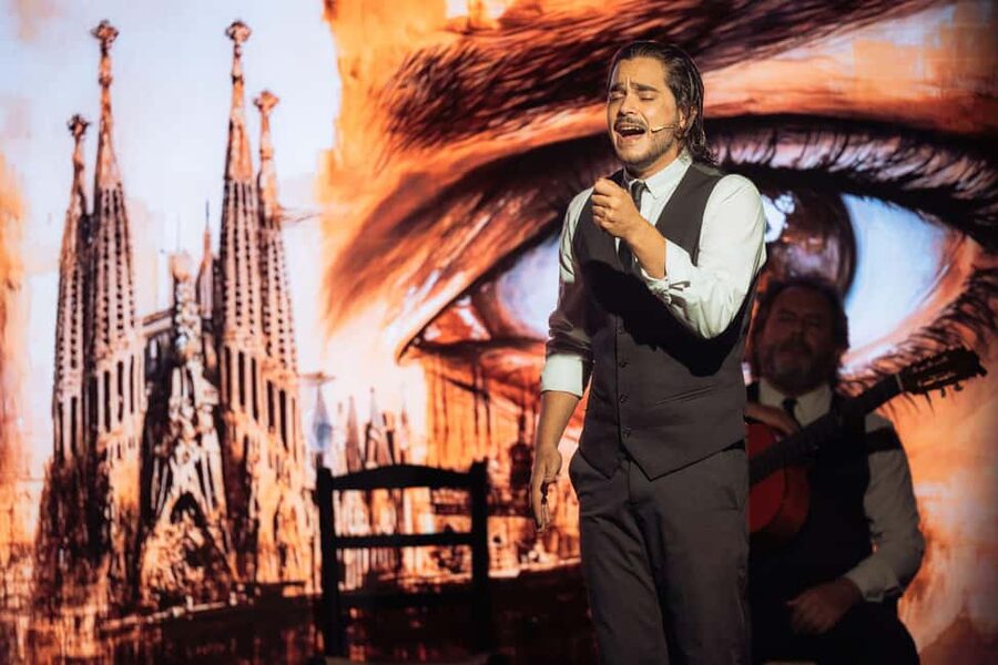 Teatro Flamenco Barcelona: Authentic Live Flamenco Show - What the audience experience feels like